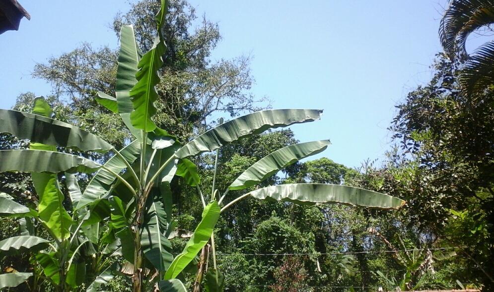 Chales Bangalos Itamambuca Ubatuba Buitenkant foto